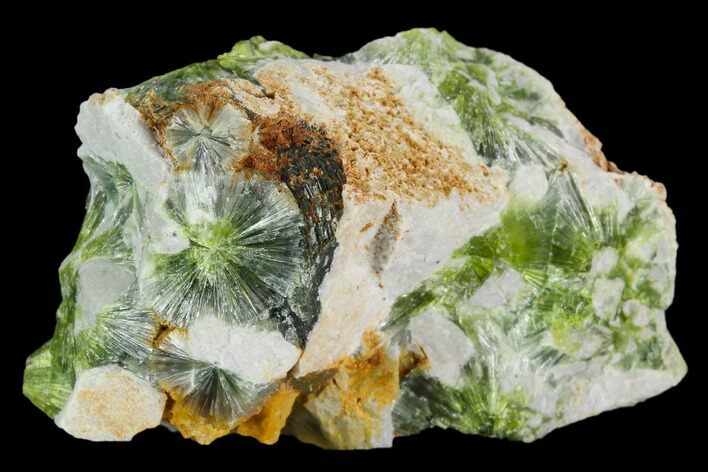 Radiating, Green Wavellite Crystal Aggregation - Arkansas #127121